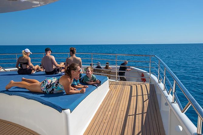 Cairns Super Saver: Reef Cruise, Daintree & Kuranda Rail/Skyrail - How the days are paced, and how to plan your Cairns stay