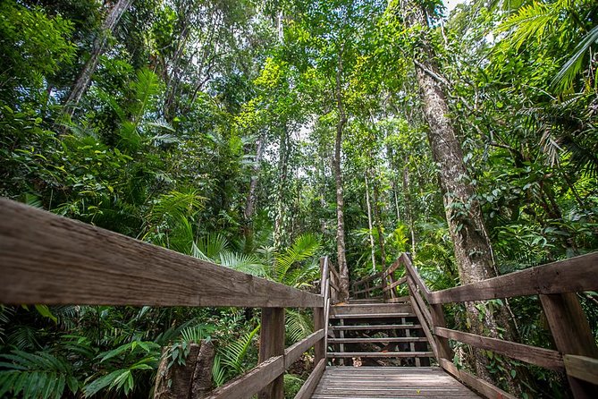 Cairns Super Saver: Reef Cruise, Daintree & Kuranda Rail/Skyrail - Extra costs and common “watch-outs” on multi-activity tours