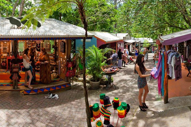 Cairns Super Saver: Reef Cruise, Daintree & Kuranda Rail/Skyrail - Who this tour suits best, and who should skip it