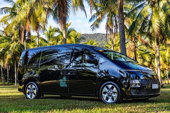 Cairns to Port Douglas ONE WAY Private Transfer 6 pax - Key highlights worth knowing