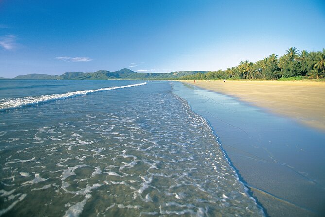 Cairns to Port Douglas ONE WAY Private Transfer 6 pax - The drive experience: local tips, safe driving, and real moments
