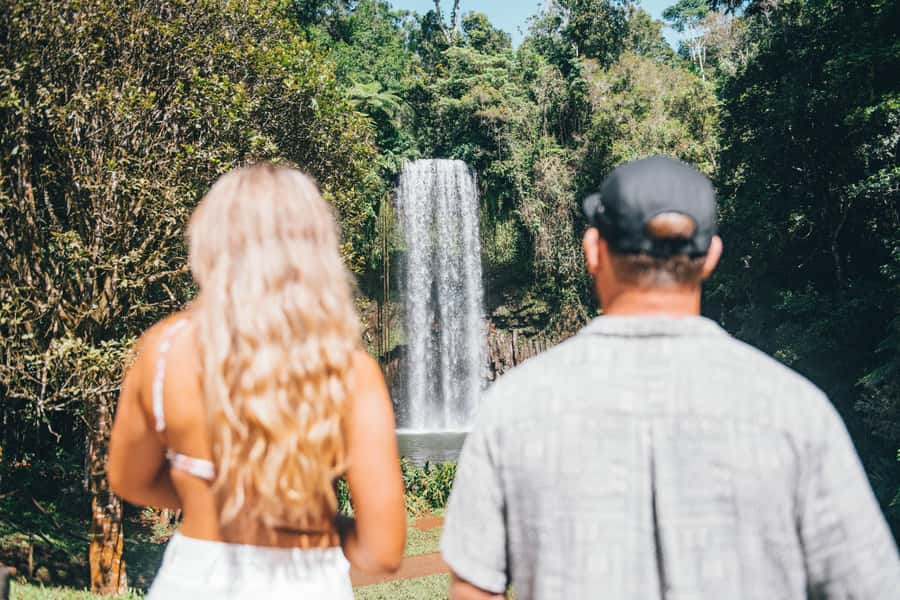 Cairns: Waterfall and Daintree Rainforest Tour - 2 Day Tours - Daintree River Cruise for Crocodiles, Then Rainforest Walk to the Reef-Edge Beach