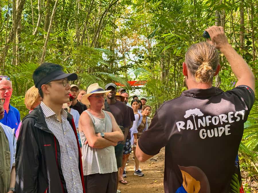 Cairns: Waterfall and Daintree Rainforest Tour - 2 Day Tours - Should You Book This 2-Day Cairns Tour?