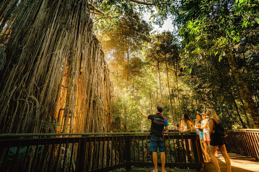 Cairns: Waterfall and Daintree Rainforest Tour - 2 Day Tours - Day 1 Atherton Tablelands: Babinda Boulders, Josephine Falls, and Millaa Millaa