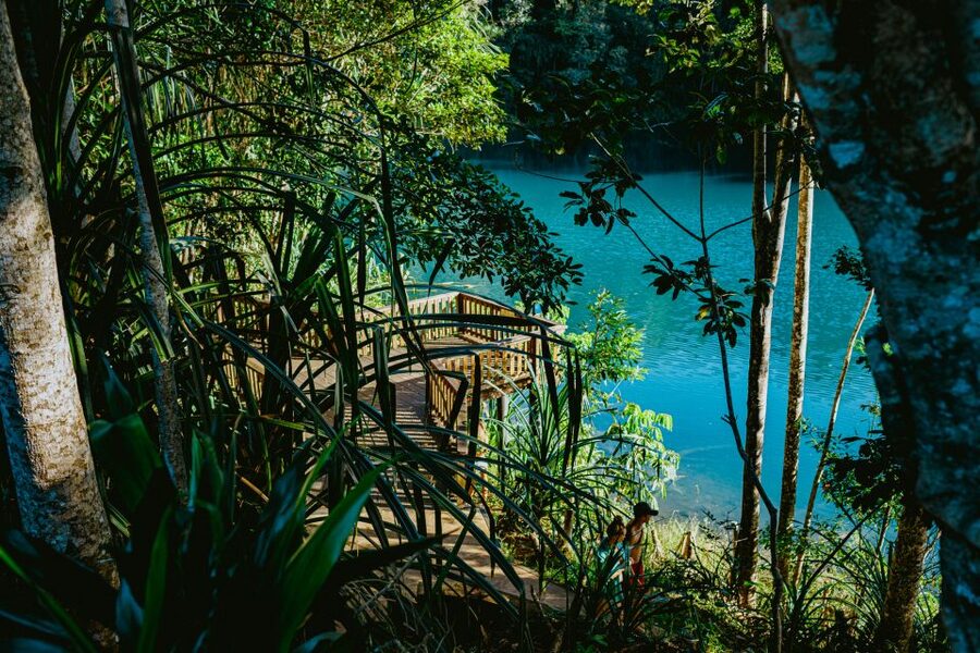 Cairns: Waterfall Tour with Lunch - What to bring so the day feels easy