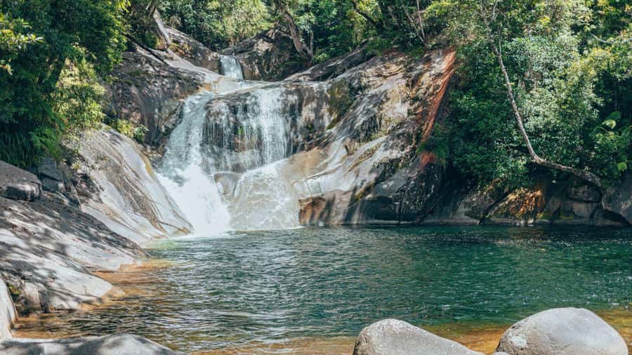 Cairns: Waterfall Tour with Lunch - Food and breaks: lunch in Malanda plus tea stops