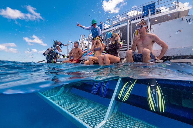 Calypso Outer Great Barrier Reef Cruise from Port Douglas - A Full-Day Outer Reef Plan That Works for Snorkelers