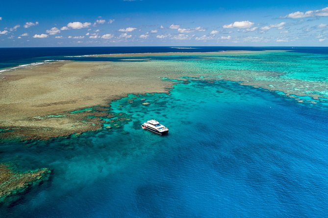 Calypso Outer Great Barrier Reef Cruise from Port Douglas - Food, Tea Breaks, and the On-Board Comfort Stuff That Matters