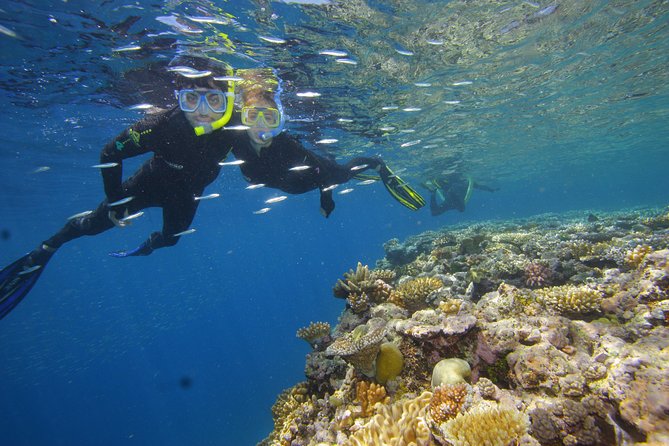 Calypso Outer Great Barrier Reef Cruise from Port Douglas - Sea Conditions and Motion Sickness: The Real World Factor