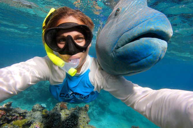 Calypso Outer Great Barrier Reef Cruise from Port Douglas - Price and Value: What $227.37 Buys You