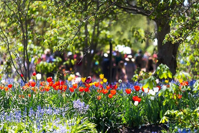 Canberra Day Trip from Sydney - Logistics you should not ignore before you go