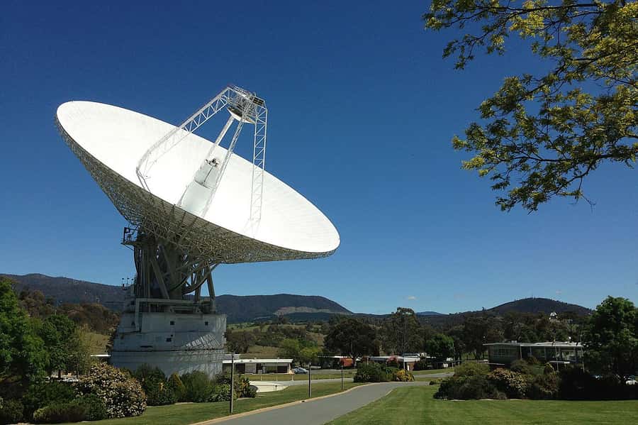 Canberra: Kangaroos and Koala Experience Tour - Canberra’s Tidbinbilla and the Tracking Station, a smart half-day mix