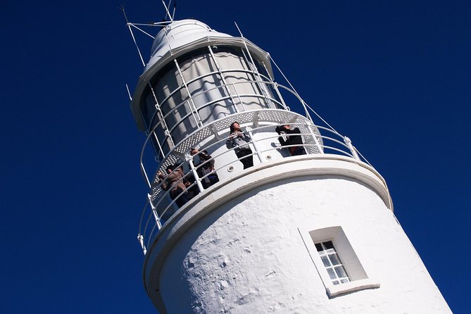 Cape Bruny Lighthouse Tour - Bruny Island - Price and value: $17.93 for a guided lighthouse experience that includes admission