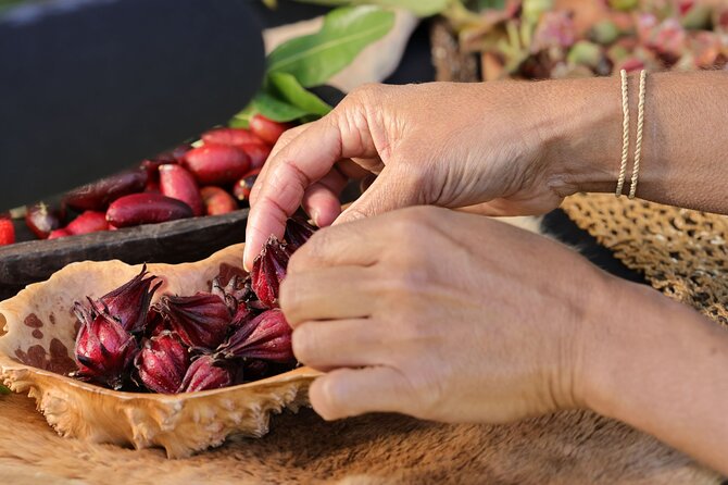 Cape Byron Aboriginal Tour - Bush Tucker and Bush Tea: What You Eat and Why It Feels Special