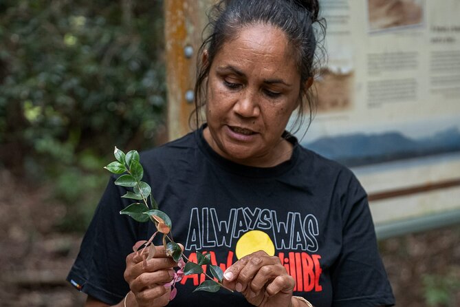 Cape Byron Aboriginal Tour - Price and Value for a 1.5-Hour Byron Bay Experience