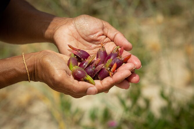 Cape Byron Aboriginal Tour - Who This Tour Is For, and Who Might Want Something Else