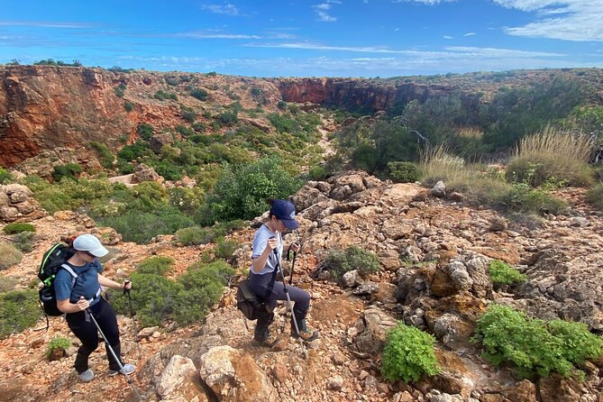 Cape Range National Park Full-Day Trekking Adventure - Mangrove Bay or the dune climb, finishing with reef-fringed panoramas