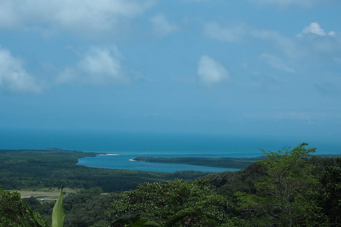 Cape Tribulation & Daintree Wilderness (TCT) - Price and what you actually get for $187.92