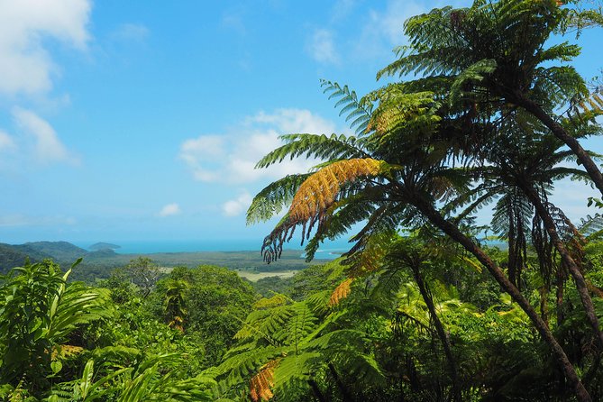 Cape Tribulation & Daintree Wilderness (TCT) - Cross the Daintree by cable-driven ferry