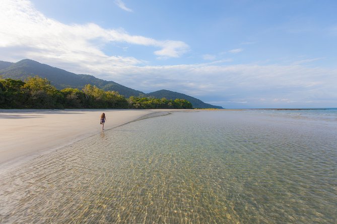 Cape Tribulation & Daintree Wilderness (TCT) - The guided hike through the UNESCO Daintree rainforest