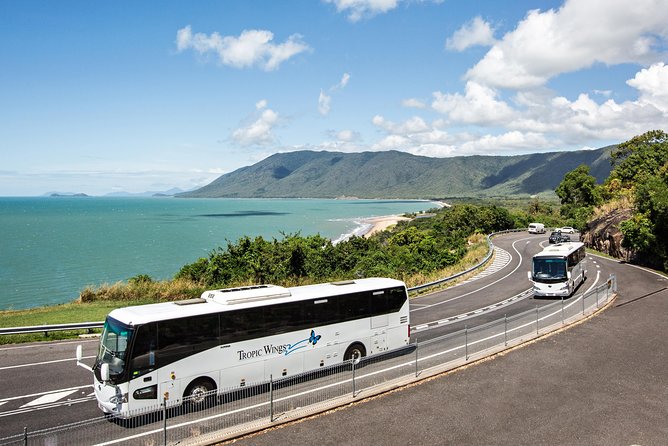 Cape Tribulation & Daintree Wilderness (TCT) - Lunch, morning tea, and the small comforts that matter
