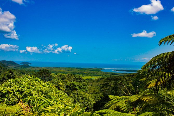 Cape Tribulation Day Tour - Cairns or Port Douglas pickup, and what you gain from a small group