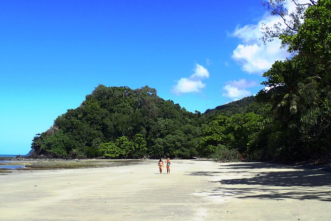 Cape Tribulation Day Tour from Cairns - What’s Included (And What That Means for Your Day)