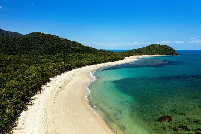 Cape Tribulation Day Tour from Cairns - Crocodile Spotting Cruise: The Wildlife Moment You Plan Around