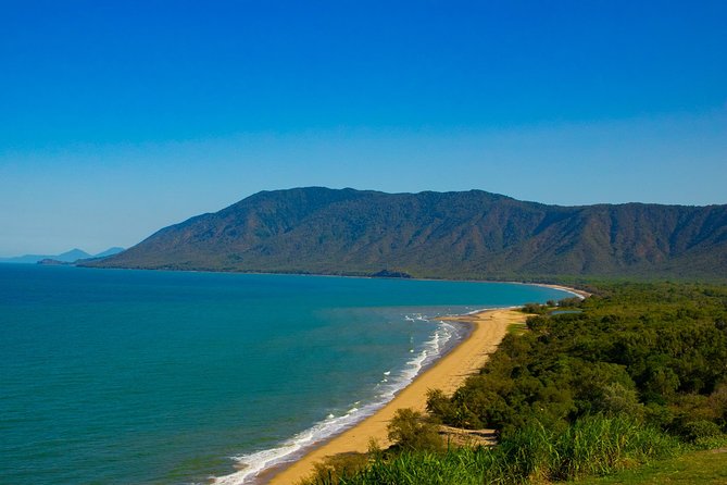 Cape Tribulation Day Tour - Gondwana Rainforest and the Marrdja or Jindalba Boardwalk: learn while you walk