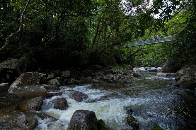 Cape Tribulation, Mossman Gorge and Daintree Rainforest Day Tour - Key highlights worth your attention