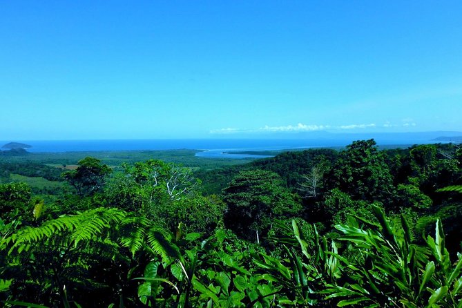 Cape Tribulation, Mossman Gorge and Daintree Rainforest Day Tour - Mossman Gorge Cultural Centre: guided walk, morning tea, and cooling off in the river