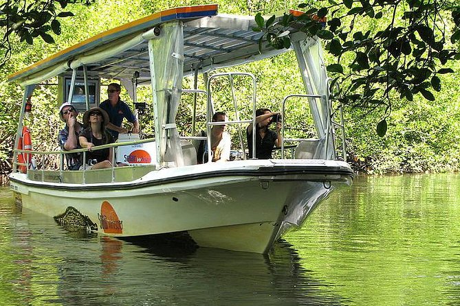 Cape Tribulation, Mossman Gorge and Daintree Rainforest Day Tour - Daintree Tea House lunch: fuel up with local food before the cruise