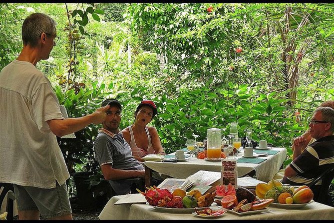 Cape Tribulation, Mossman Gorge and Daintree Rainforest Day Tour - Daintree River wildlife cruise: croc odds, mangrove rhythm, and what to watch for