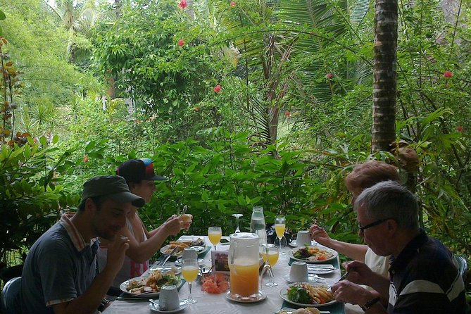Cape Tribulation, Mossman Gorge and Daintree Rainforest Day Tour - Price and logistics: what you are paying for and why it can be worth it