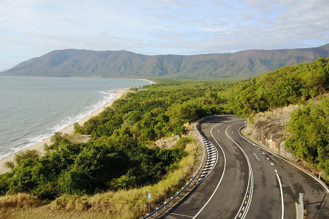 Cape Tribulation, Mossman Gorge, and Daintree Rainforest Day Trip - The bus ride reality: value, comfort, and how to avoid fatigue