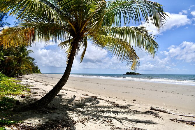 Cape Tribulation, Mossman Gorge, and Daintree Rainforest Day Trip - Who should book this Cairns day trip, and who might skip it