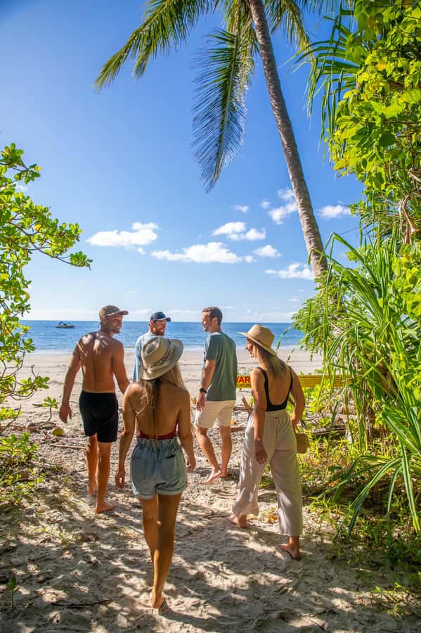 Cape Tribulation Ocean Safari - Great Barrier Reef Adventure - Cape Tribulation walk: a short stop that sets the scene