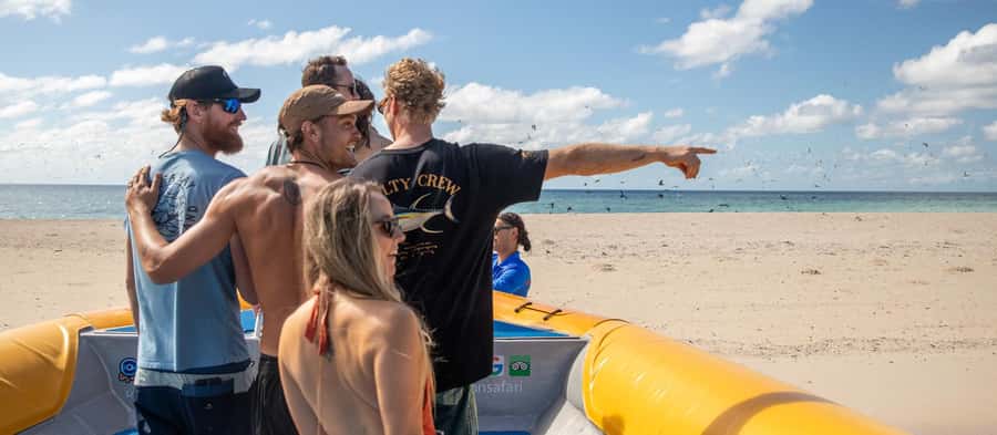 Cape Tribulation Ocean Safari - Great Barrier Reef Adventure - What the eco talks actually do for you