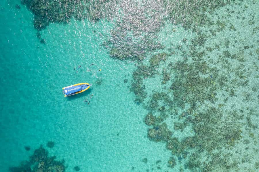 Cape Tribulation Ocean Safari - Great Barrier Reef Adventure - The boat and group size: why this tour feels less crowded