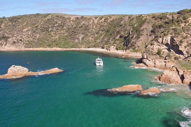 Cape Woolamai Sightseeing Cruise from San Remo - San Remo boarding at 170 Marine Parade, and how the boat setup helps