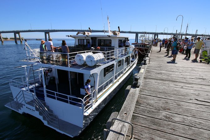 Cape Woolamai Sightseeing Cruise from San Remo - Captain commentary, tea and cake, and keeping families comfortable
