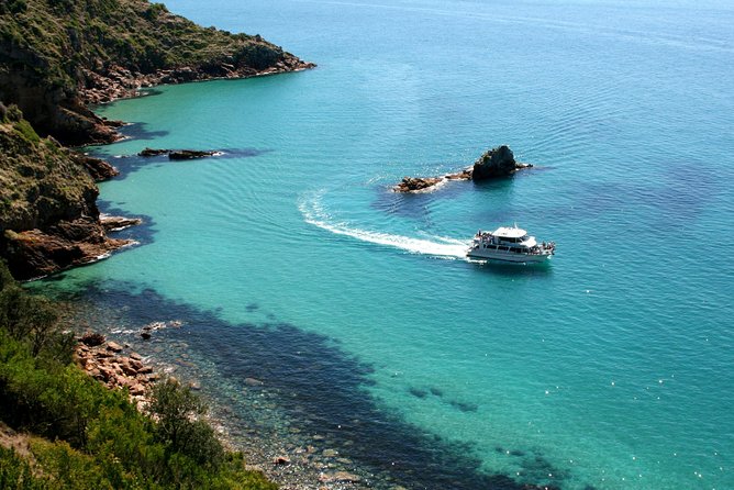 Cape Woolamai Sightseeing Cruise from San Remo - Price and value: what $35.14 really buys on Phillip Island