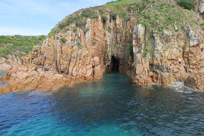 Cape Woolamai Sightseeing Cruise from San Remo - Should you book the Cape Woolamai sightseeing cruise from San Remo?
