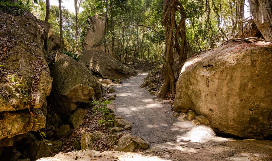 Capricorn Caves, Australia: 45-Minute Cathedral Cave Tour - What limestone formations and millions of years look like up close