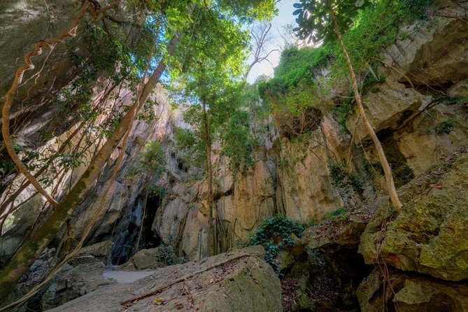 Capricorn Caves Cathedral Cave Tour - Cathedral Cave at Capricorn Caves: What Happens in 45 Minutes