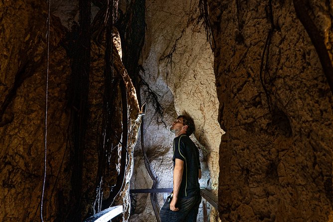 Capricorn Caves Cathedral Cave Tour - 22 C Cave Temperature: Why It Feels Comfortable