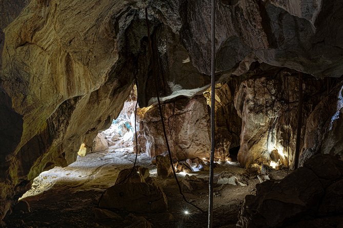 Capricorn Caves Cathedral Cave Tour - Geology Stories, Wildlife Clues, and the 1882 Discovery