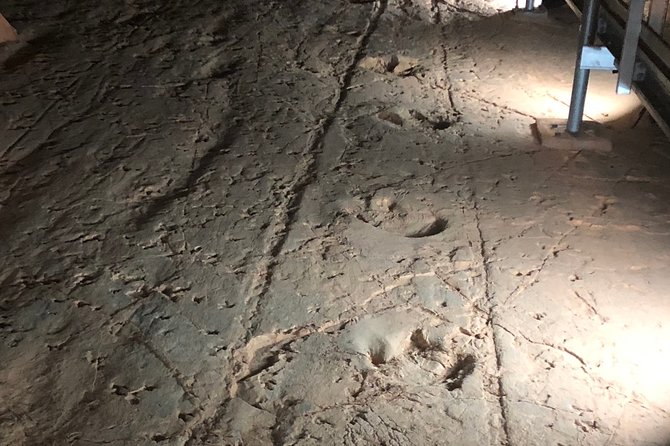 Carisbrooke Station and Dinosaur Stampede Day Tour from Winton - One consideration before you go