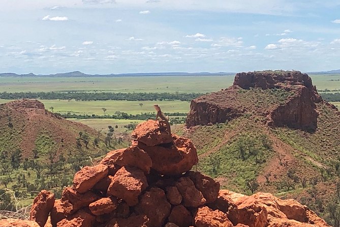 Carisbrooke Station and Dinosaur Stampede Day Tour from Winton - Small-group touring in Winton: why max 16 feels worth it
