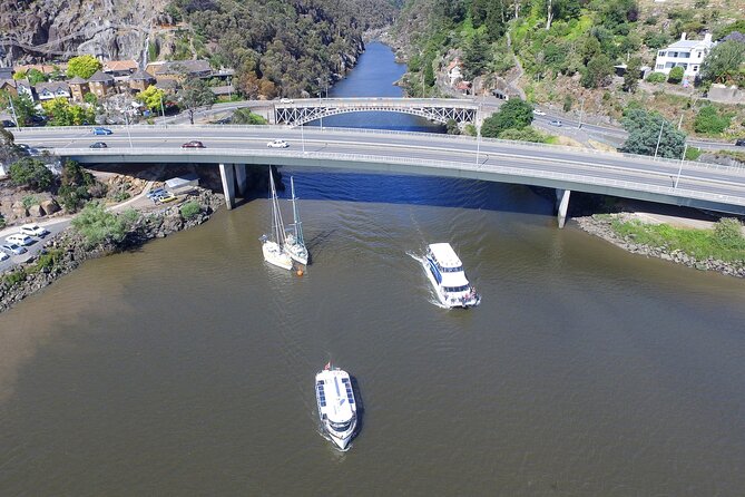 Cataract Gorge Cruise 11:30 am - The Cataract Gorge part: sheer cliffs, close-up views, and a quieter ride